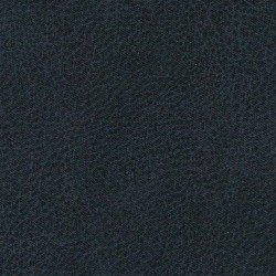 Tkanina obiciowa Canyon 79 (d)