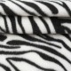 Polar wzór zebra