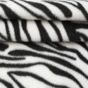 Polar wzór zebra