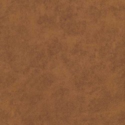 Tkanina obiciowa Logan Cognac
