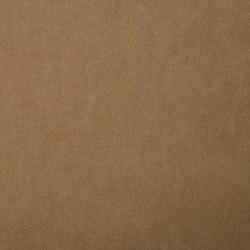 Tkanina obiciowa Polo 874